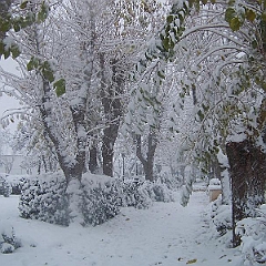 nieve 14 - 12 - 09 083